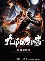 九阳帝尊顶点