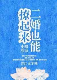二婚也能撩起来全文免费阅读