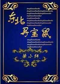 东北寻宝鼠TXT宝书网