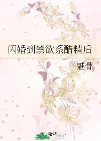 闪婚惊爰全文免费阅读