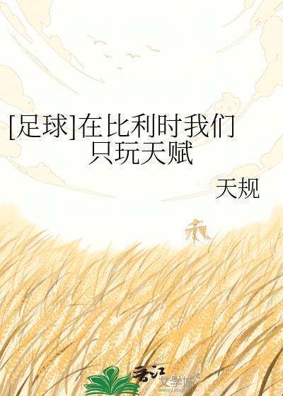 比利时van