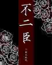 不二臣游戏