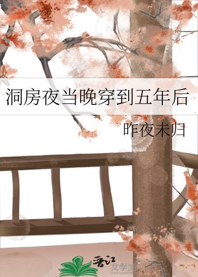 穿到洞房花烛夜后吴下阿若
