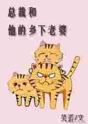 总裁和他的乡下老婆晋江