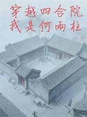 穿越四合院把何雨水赶走的