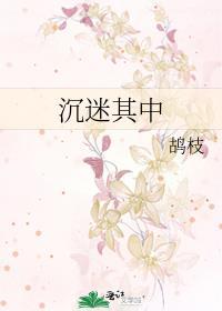 沉迷其中鸪枝TXT百度