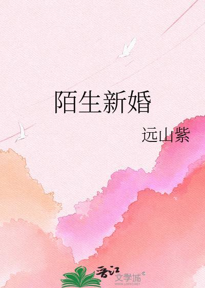 陌生新婚全文