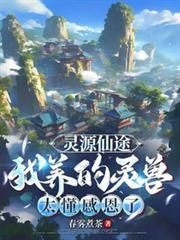 灵源仙途我养的灵兽太懂感恩了女主是云岫烟吗?