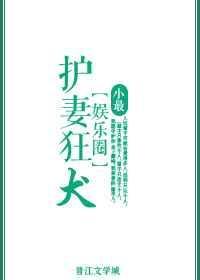 护妻狂魔完整版日剧