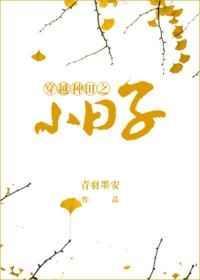 穿越小子种田记