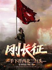 长征结束后红军在陕北的战斗有哪些