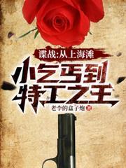 谍战上海滩