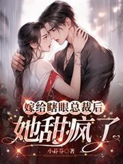 嫁给盲眼王爷晋江