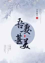 吾妻甚美无防盗章