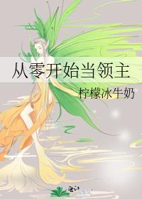 从0开始的境领主大人