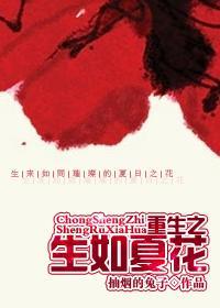 重生之生如夏花by