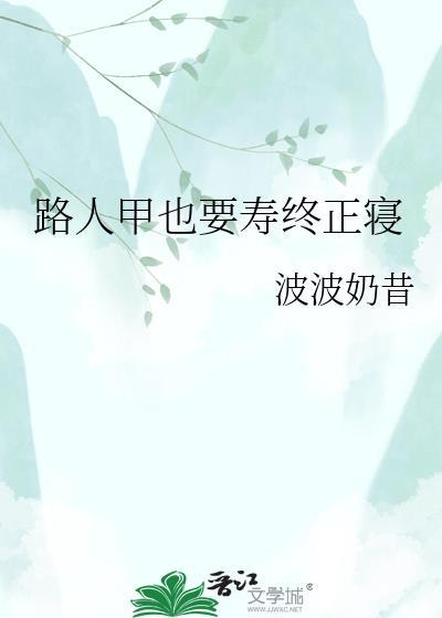 路人甲的一生