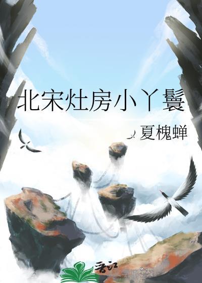 北宋灶房小丫鬟txt