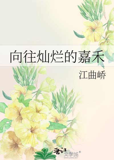 向往灿烂的日子