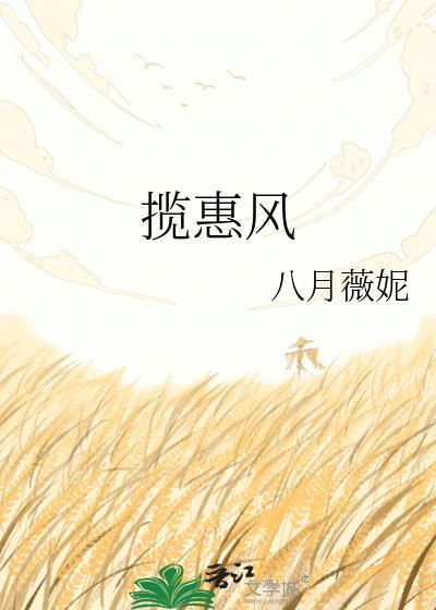 揽惠风全本TXT