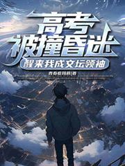 第1章 高考车祸?
