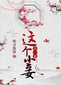 这个小妾不一般讲的是什么