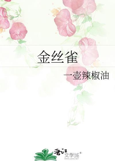 金丝雀免费阅读全文
