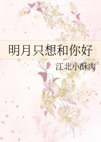 明月合适照我还的前一句是什么