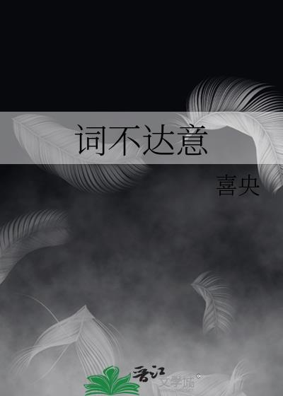 词不达意言不由衷