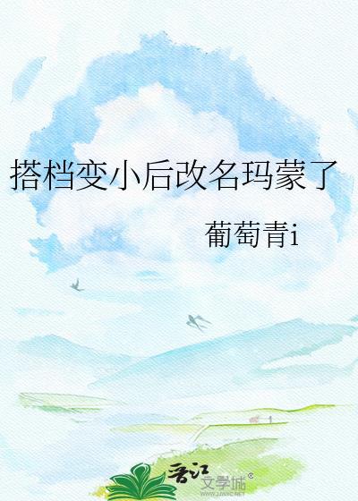wm搭档