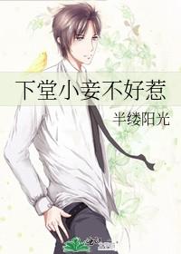 下堂小妾不好惹(全本)