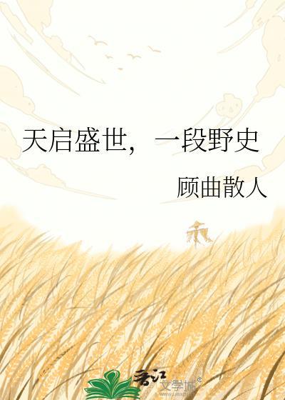 天启盛世一段野史百度