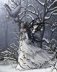 苟到天荒地老 紫灵风雪著