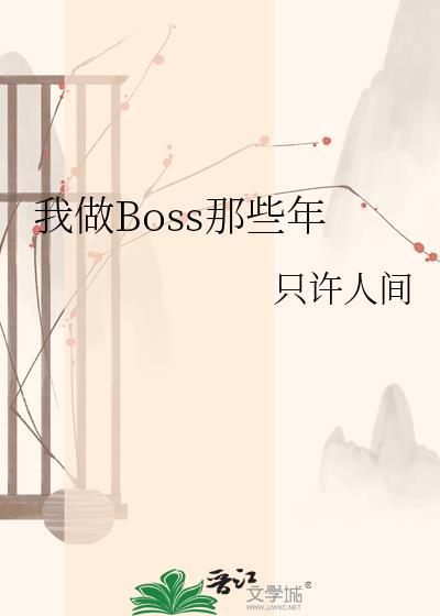 我做Boss那些年