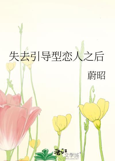 失去引导型恋人之后